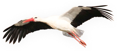 лелечий хутір